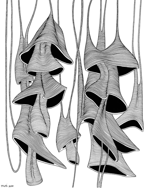 Drawings