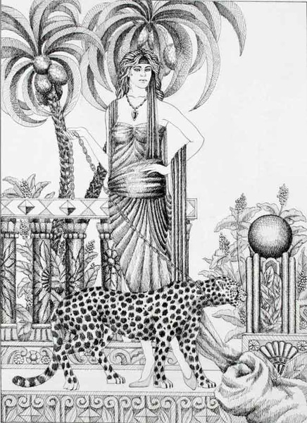 Illustrations