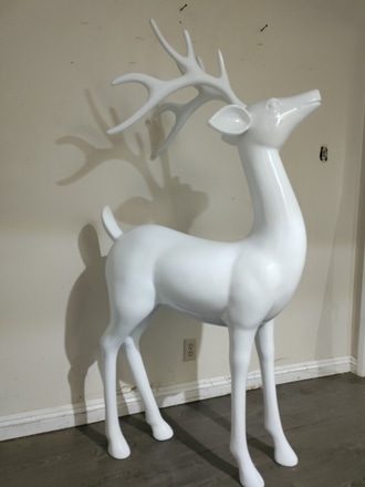 Reindeer