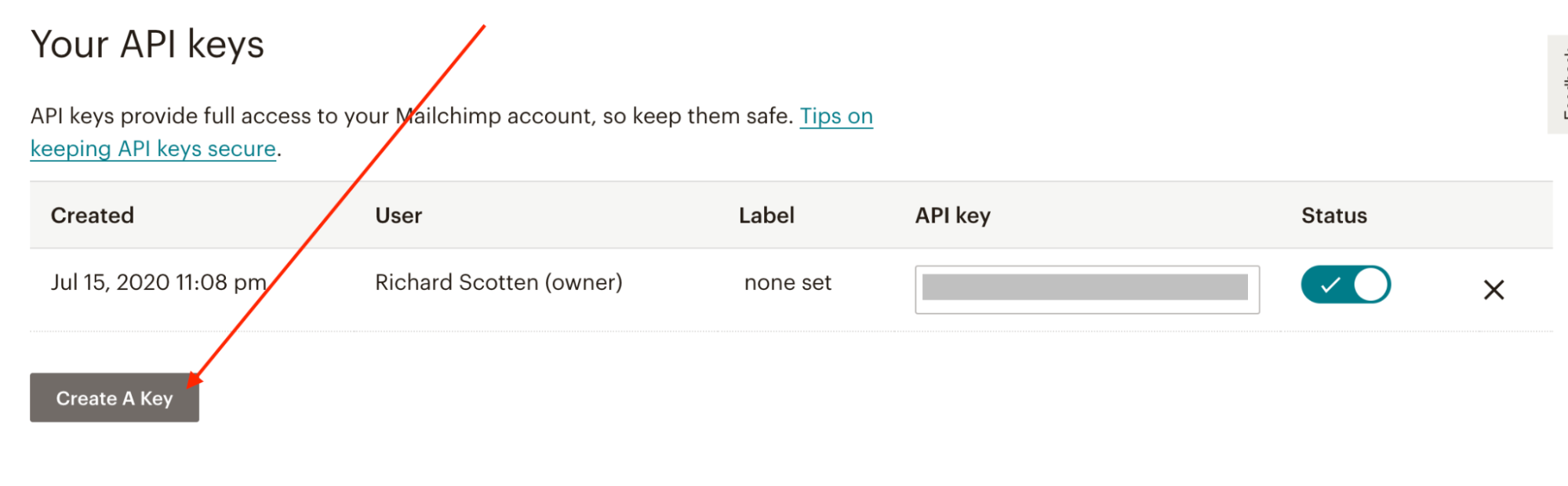 Your Mailchimp API keys