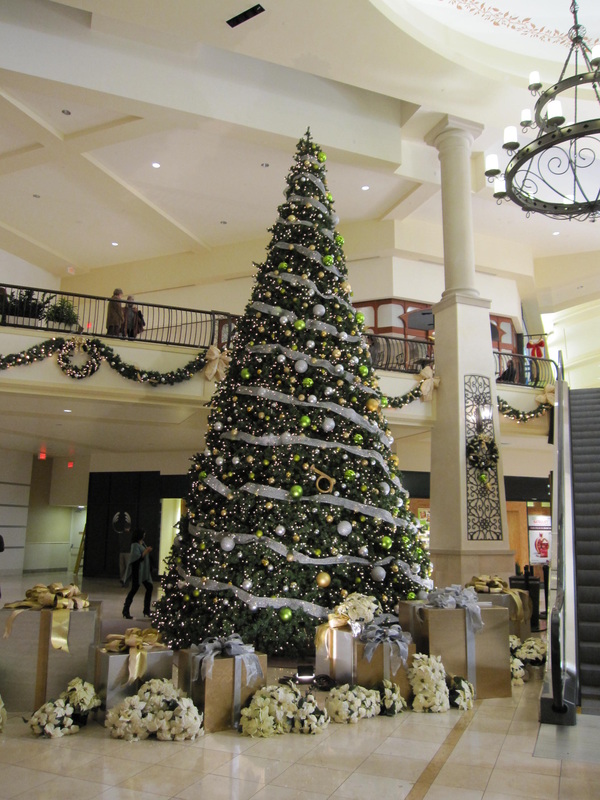 30' Rocky Mountain Pine Tower Tree with mini lights For Rent in