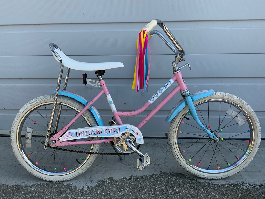 Dream girl sale bike