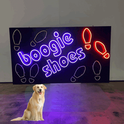 main photo of BOOGIE SHOES