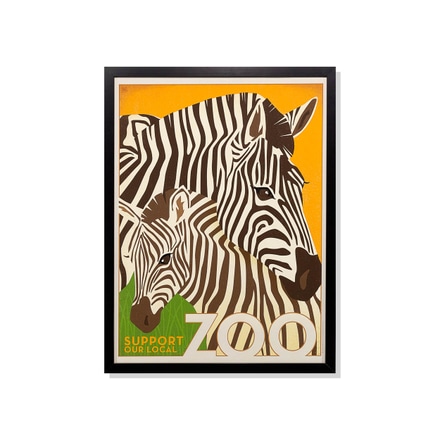main photo of Zoo: Zebras