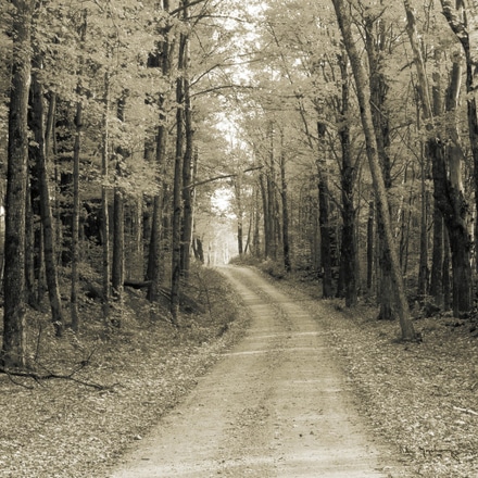 main photo of Vermont Country Road Sepia Crop