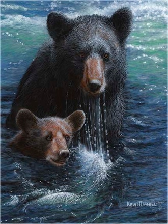 main photo of bearly swimming