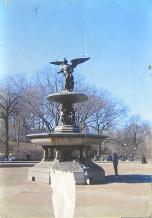 main photo of Cleared Snapshot:  dry fountain in park