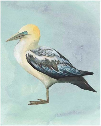 main photo of watercolor beach bird iii