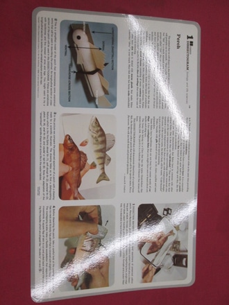 main photo of poster school science dissecting Perch 1