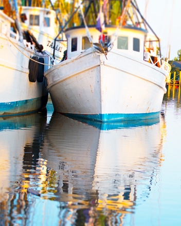 main photo of Shrimp Boats Savannah