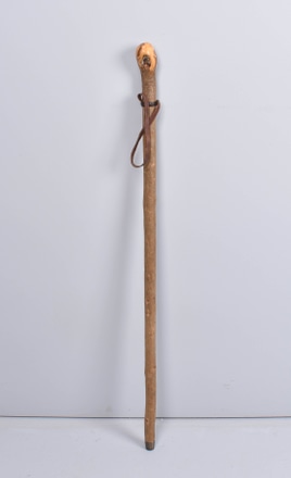 main photo of Tree Limb Walking Stick with Burl Handle and Leather Strap