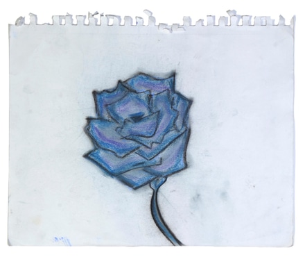 main photo of Cleared student drawing;  blue rose