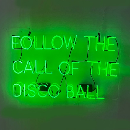 main photo of FOLLOW THE CALL OF THE DISCO BALL