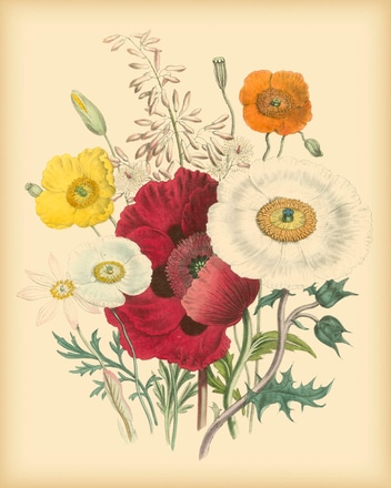 main photo of Garden Bouquet II