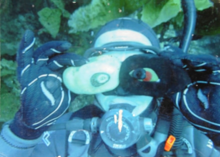 main photo of Cleared Snapshot: scuba diver with shells