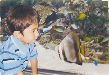 main photo of Cleared snapshot:  Uriel at aquarium