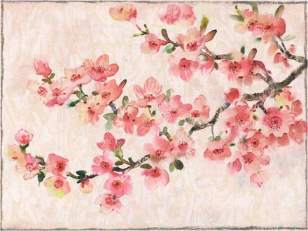 main photo of cherry blossom composition i