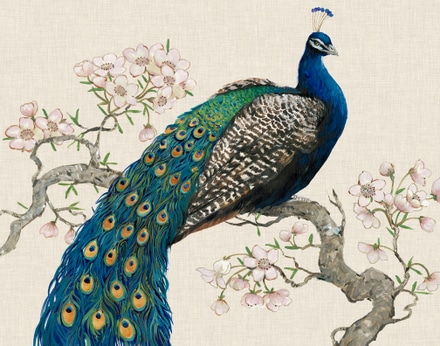main photo of Peacock, Blossoms I