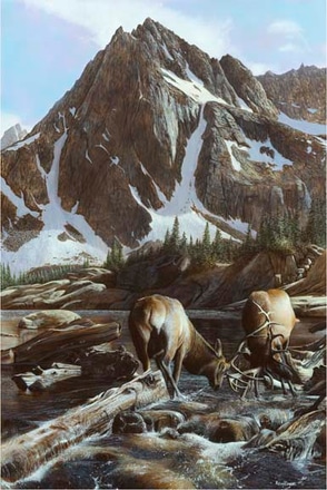 main photo of mountainside elk ii