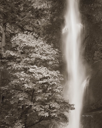 main photo of Multnomah Falls