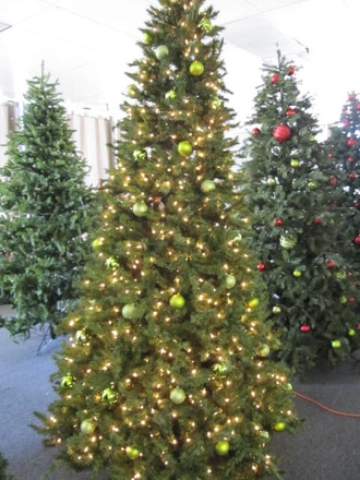 main photo of 10' Tree w mini lights