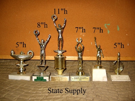 main photo of trophy generic 11