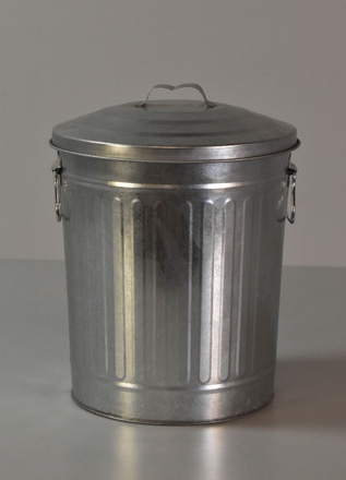 main photo of Galvanized Garbage Can w/ Lid