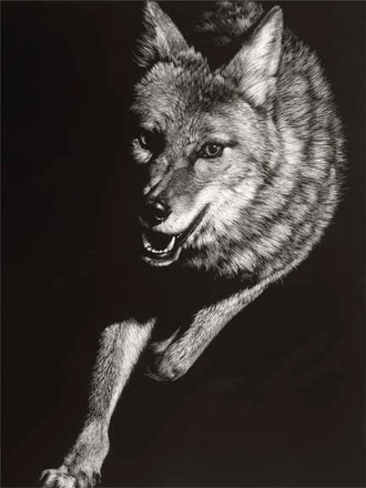 main photo of wild scratchboard v