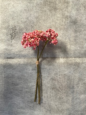 main photo of Viburnum Berry Nosegay Bouquet