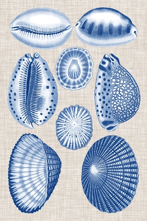 main photo of Navy, Linen Shells I