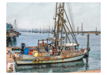 main photo of Fishing Boat in The Embarcadero