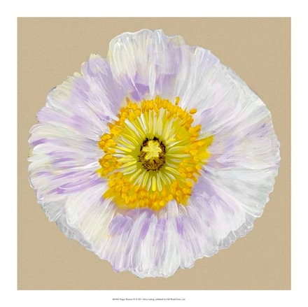 main photo of poppy blossom iv