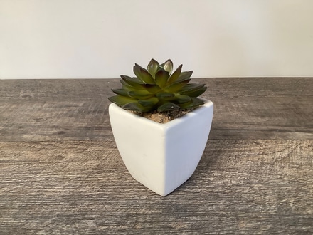 main photo of Side Table Succulent