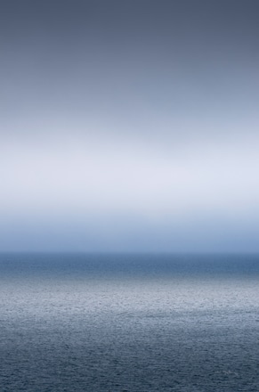 main photo of Bay of Fundy Fog