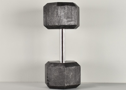 main photo of Faux 45 lb. Dumbbell Weight