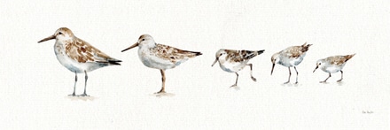 main photo of Pebbles and Sandpipers IX No Words Border