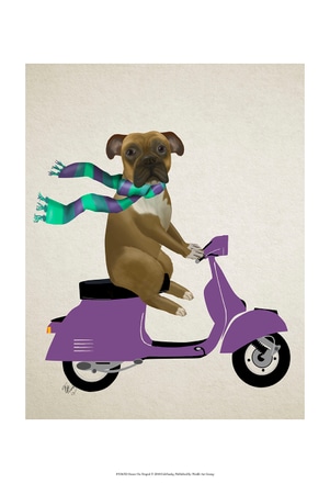 main photo of Boxer On Moped