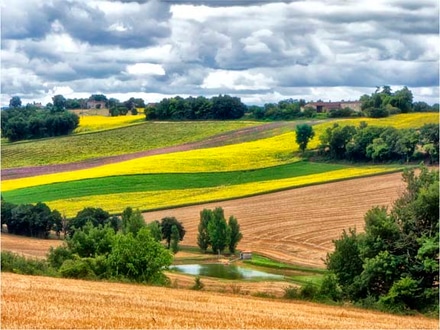 main photo of pastoral countryside viii