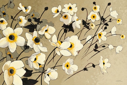 main photo of Anemones Japonaises Blancs