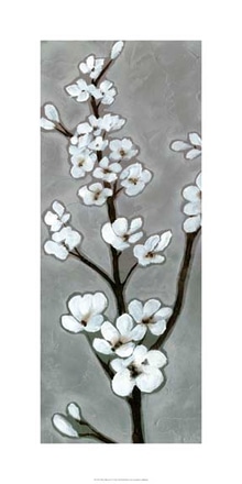 main photo of white blossoms i