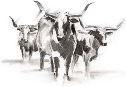 main photo of contemporary cattle i