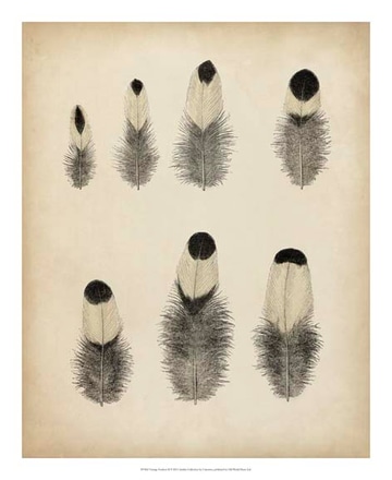 main photo of vintage feathers ii