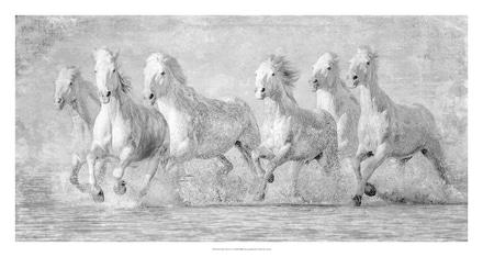 main photo of Water Horses V