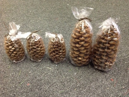 main photo of 6" and 9" Pine cone candles