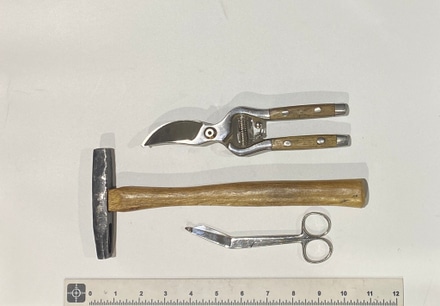 main photo of Torture Tools
