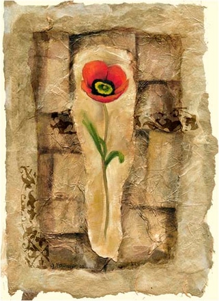 main photo of gilded poppy i