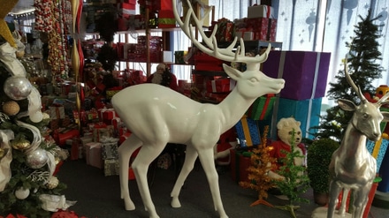 main photo of reindeer-6ft-white-elegant