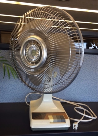 main photo of Large Vintage Fan