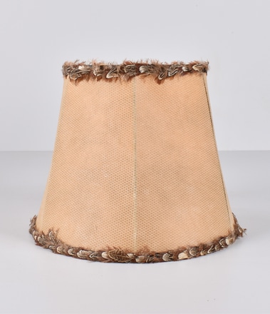 main photo of Hexagon Empire Lamp Shade with Feather Trim