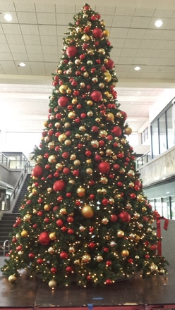 main photo of 20 foot tree with red/ gold decor